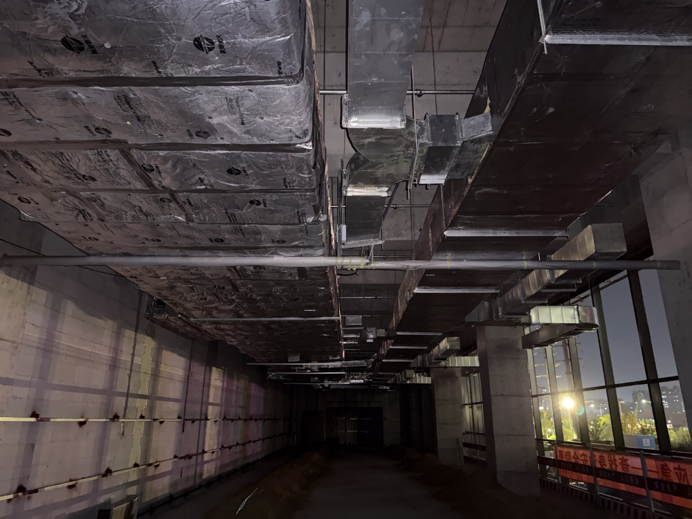 1761633618367185.jpg 张磊 2025_10_27 18_00_29 无水印.jpg