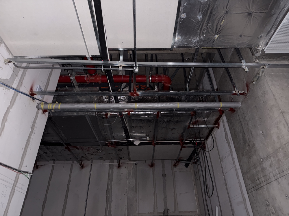 1761633713484375.jpg 张磊 2025_10_27 18_02_15 无水印.jpg