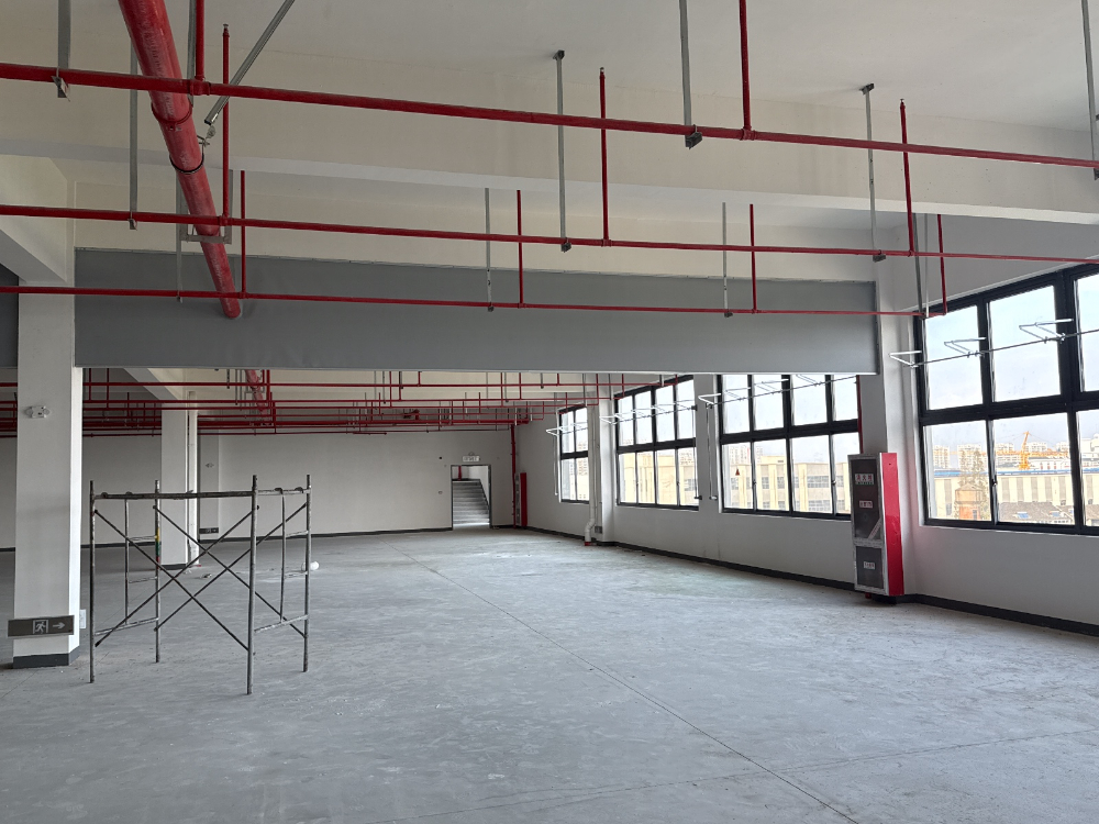 张磊 2025_10_31 14_49_02 无水印.jpg