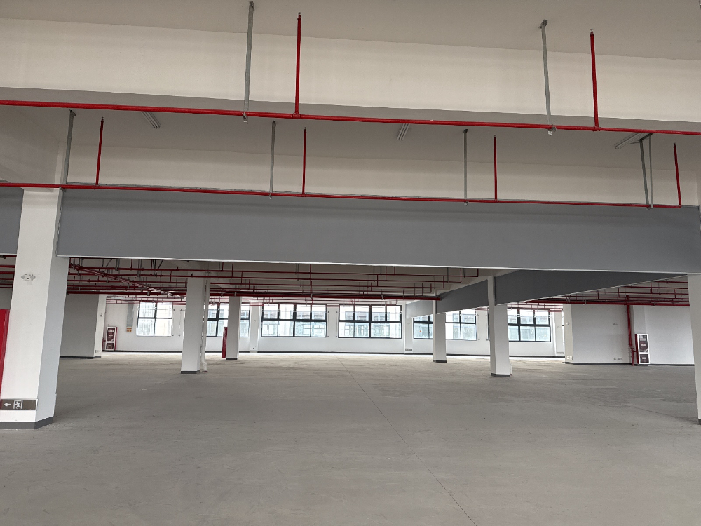 1762241283589474.jpg 张磊 2025_11_02 14_11_19 无水印.jpg